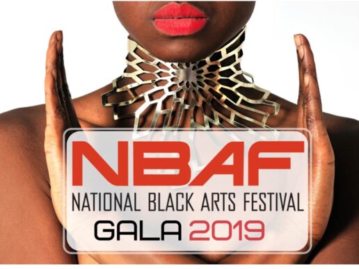 Read more about the article National Black Arts Festival